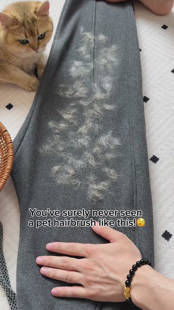 Carregar vídeo: Mais que uma ferramenta de limpeza, a luva é um cuidado com a saúde do seu amigo de quatro patas. 🐶🐱Enquanto remove os pelos mortos, ela massageia suavemente a pele do animal, estimulando a circulação sanguínea e deixando o pelo mais macio e brilhante. Seu pet fica limpo, relaxado e feliz!